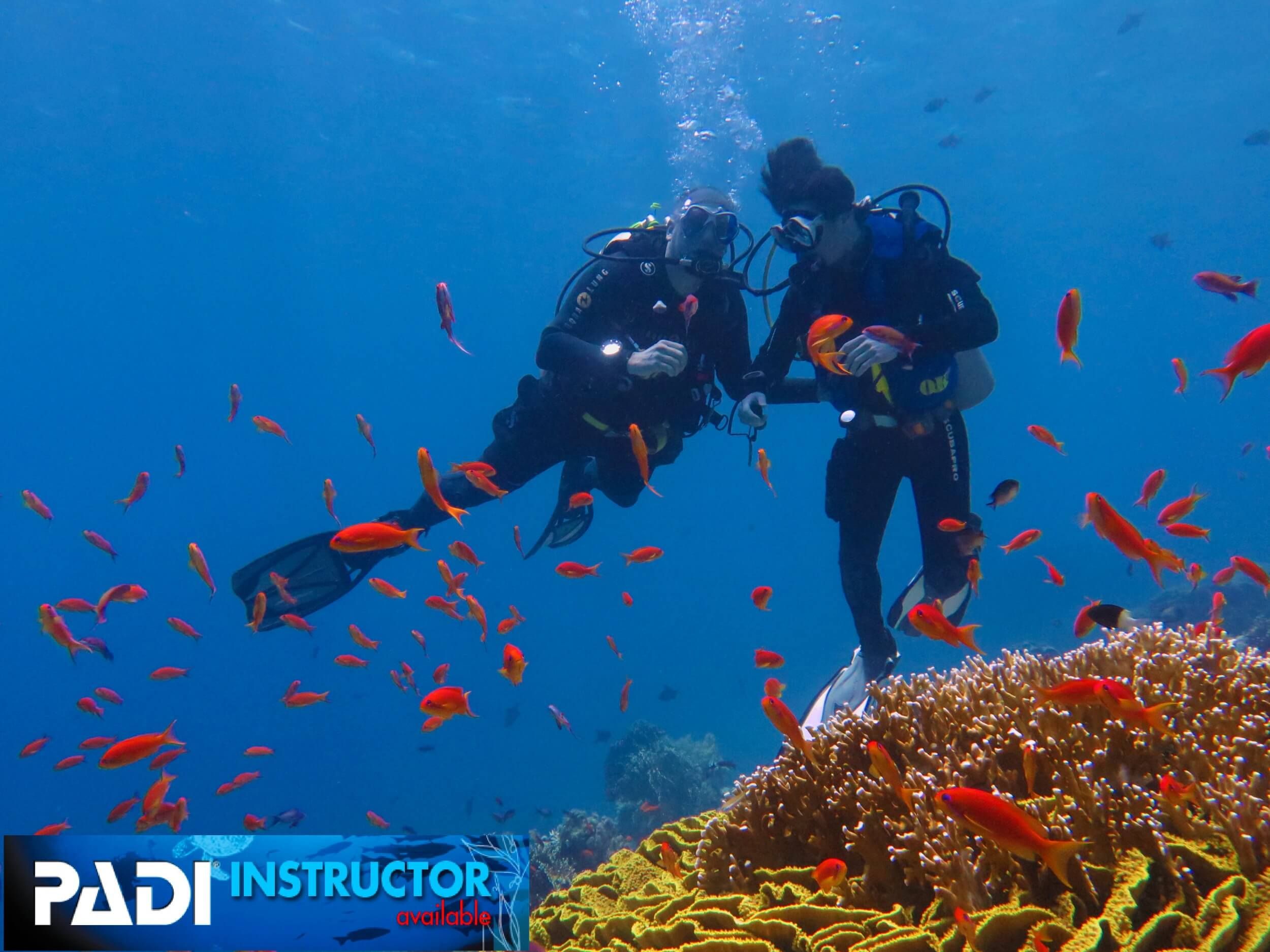 Padi Kurse Martin Müller Sub Marine Diving Club Meran